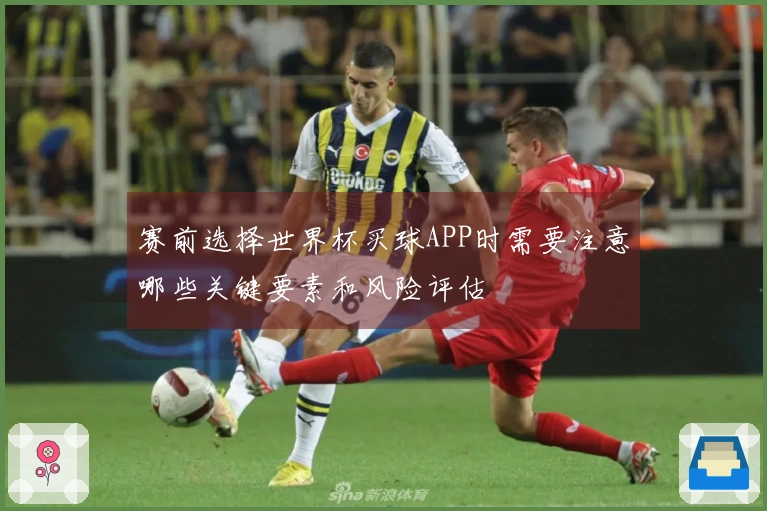 赛前选择世界杯买球APP时需要注意哪些关键要素和风险评估