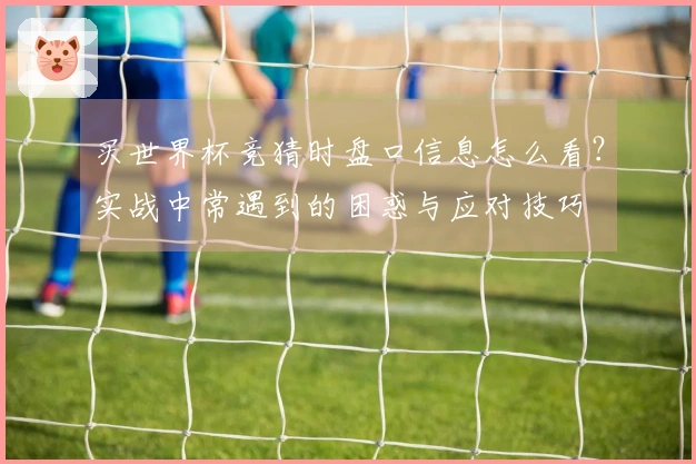 买世界杯竞猜时盘口信息怎么看？实战中常遇到的困惑与应对技巧