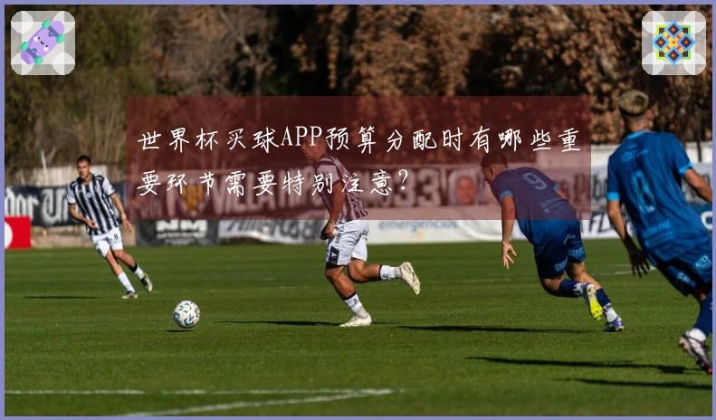世界杯买球APP预算分配时有哪些重要环节需要特别注意？