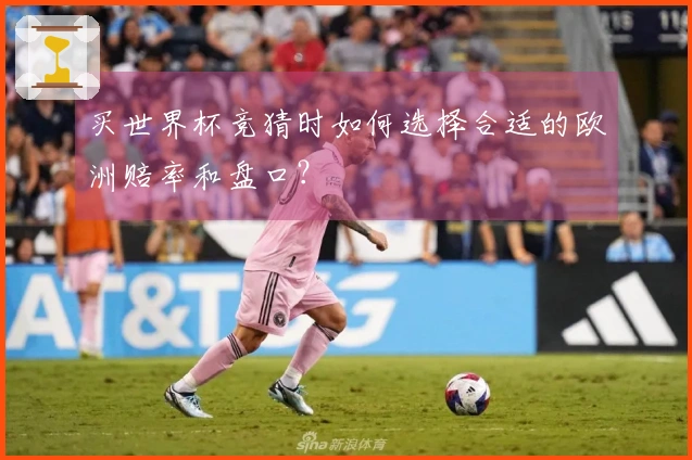 买世界杯竞猜时如何选择合适的欧洲赔率和盘口？