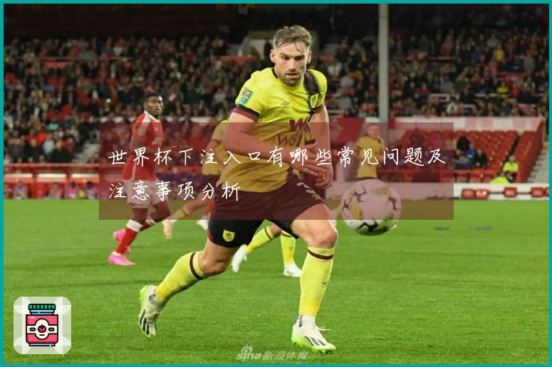 世界杯下注入口有哪些常见问题及注意事项分析