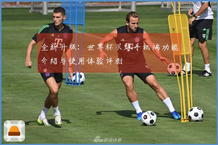 全新升级：世界杯买球手机端功能介绍与使用体验评测