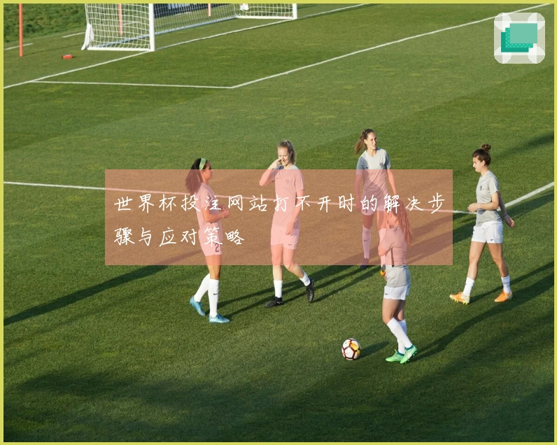 世界杯投注网站打不开时的解决步骤与应对策略
