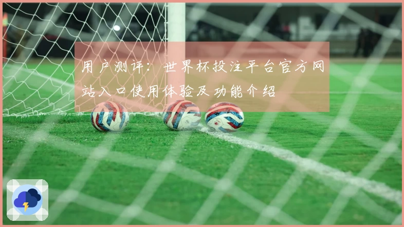 用户测评：世界杯投注平台官方网站入口使用体验及功能介绍