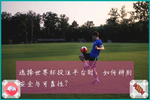 选择世界杯投注平台时，如何辨别安全与可靠性？