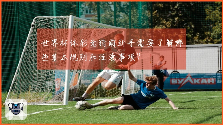 世界杯体彩竞猜前新手需要了解哪些基本规则和注意事项？