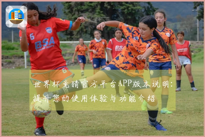 世界杯竞猜官方平台APP版本说明：提升您的使用体验与功能介绍