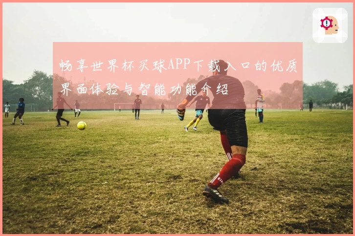 畅享世界杯买球APP下载入口的优质界面体验与智能功能介绍