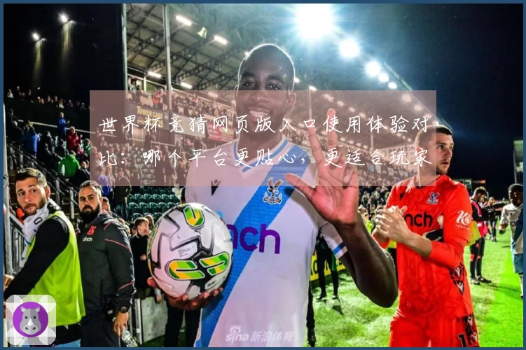 世界杯竞猜网页版入口使用体验对比：哪个平台更贴心，更适合玩家？