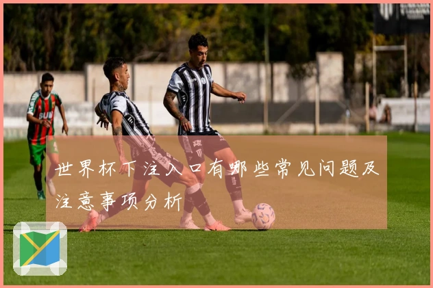 世界杯下注入口有哪些常见问题及注意事项分析