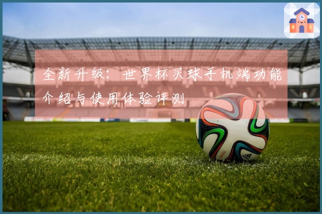 全新升级：世界杯买球手机端功能介绍与使用体验评测
