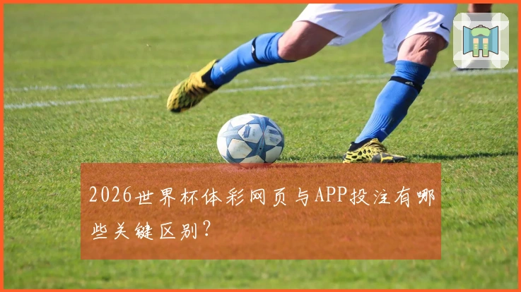 2026世界杯体彩网页与APP投注有哪些关键区别？