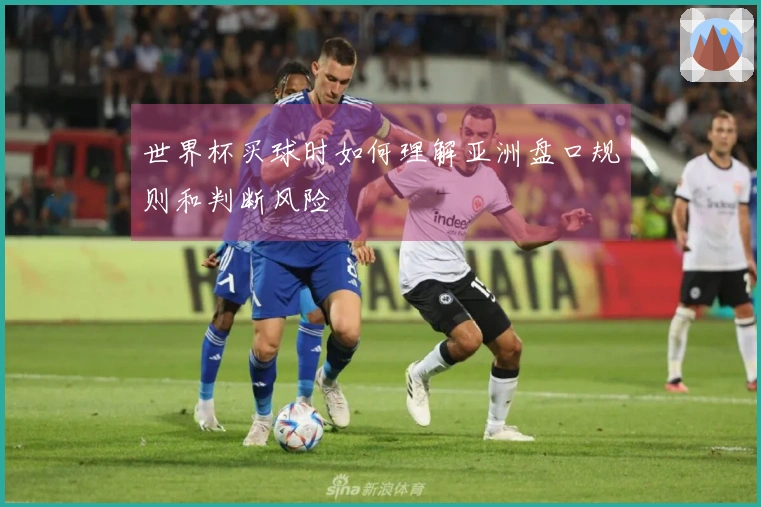 世界杯买球时如何理解亚洲盘口规则和判断风险