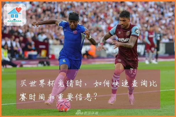 买世界杯竞猜时，如何快速查询比赛时间和重要信息？