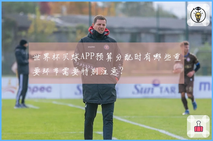 世界杯买球APP预算分配时有哪些重要环节需要特别注意?