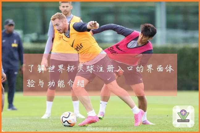 了解世界杯买球注册入口的界面体验与功能介绍