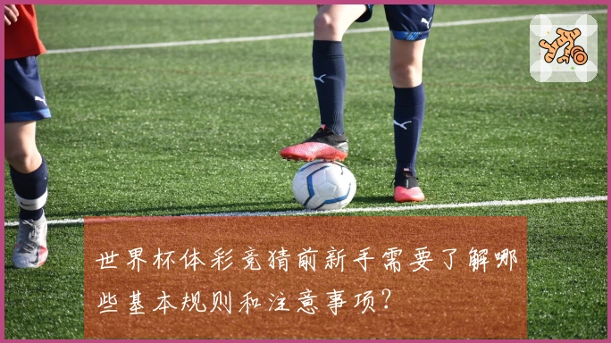世界杯体彩竞猜前新手需要了解哪些基本规则和注意事项？
