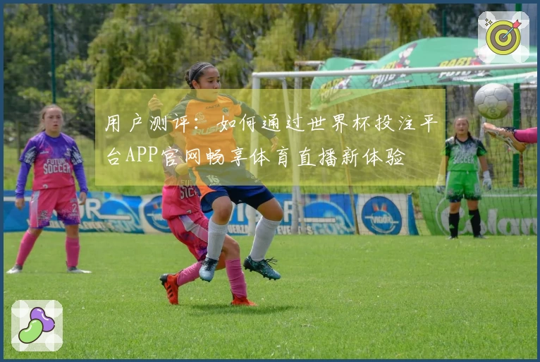 用户测评：如何通过世界杯投注平台APP官网畅享体育直播新体验
