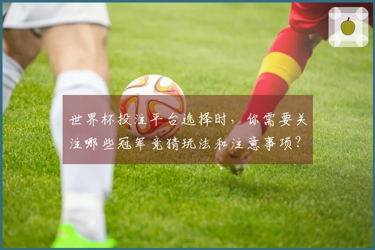 世界杯投注平台选择时，你需要关注哪些冠军竞猜玩法和注意事项？